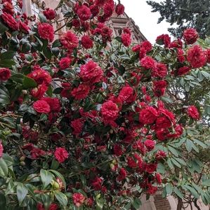 Reserved for Nazira.